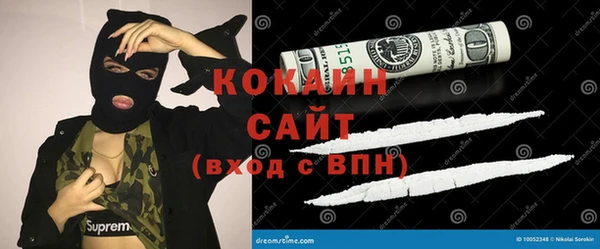 мдпв Белокуриха