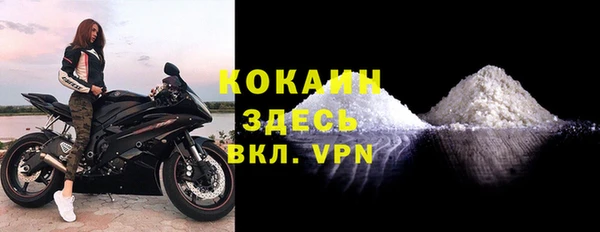 гидра Белоозёрский