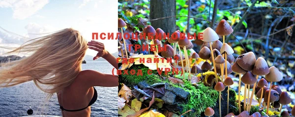 мдпв Белокуриха